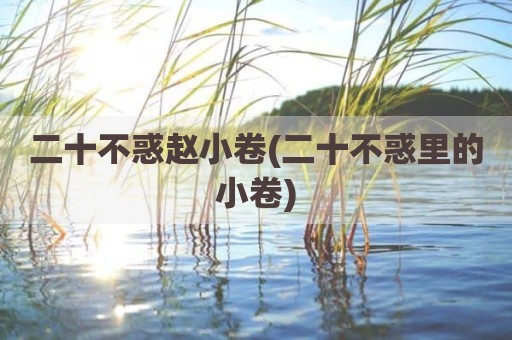 二十不惑赵小卷(二十不惑里的小卷)