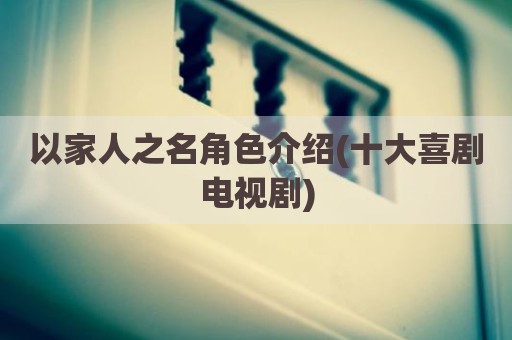 以家人之名角色介绍(十大喜剧电视剧)
