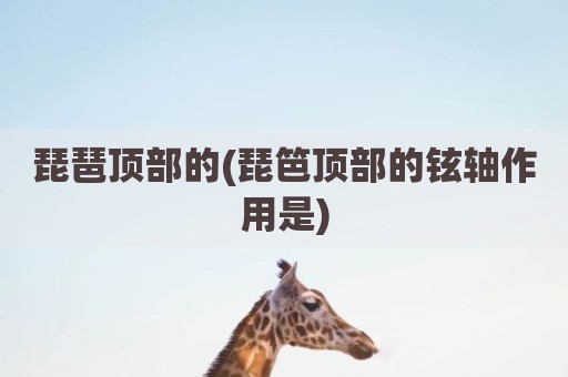 琵琶顶部的(琵笆顶部的铉轴作用是)