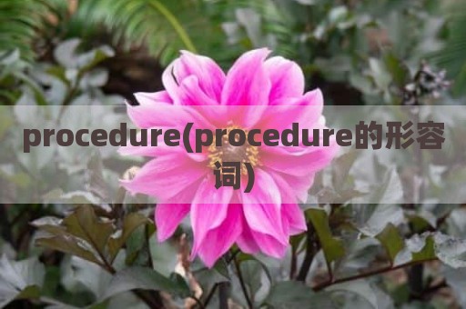 procedure(procedure的形容词)