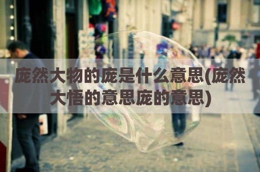 庞然大物的庞是什么意思(庞然大悟的意思庞的意思)