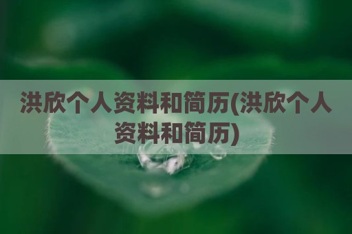 洪欣个人资料和简历(洪欣个人资料和简历)