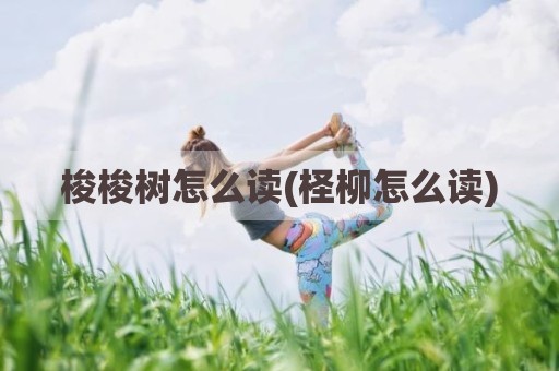 梭梭树怎么读(柽柳怎么读)
