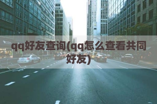 qq好友查询(qq怎么查看共同好友)