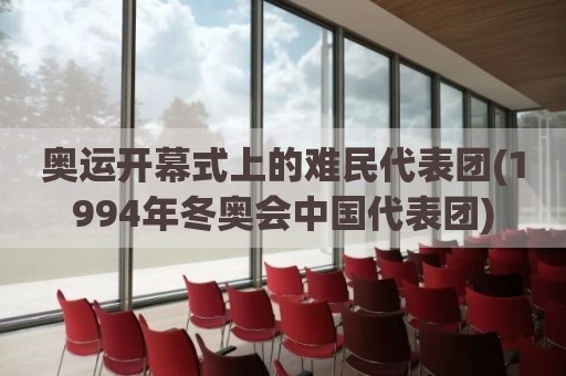 奥运开幕式上的难民代表团(1994年冬奥会中国代表团)