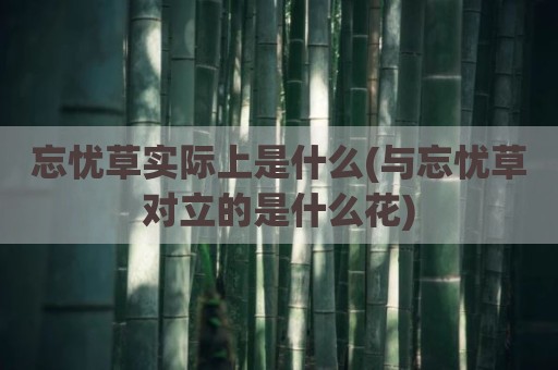 忘忧草实际上是什么(与忘忧草对立的是什么花)