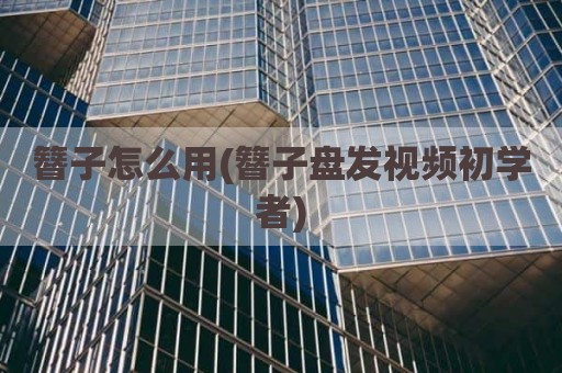 簪子怎么用(簪子盘发视频初学者)