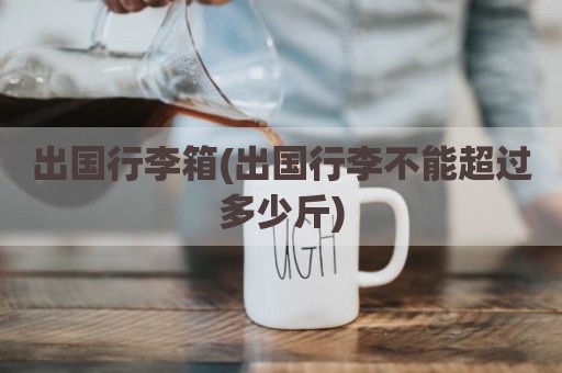 出国行李箱(出国行李不能超过多少斤)