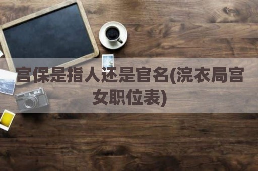 宫保是指人还是官名(浣衣局宫女职位表)