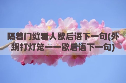 隔着门缝看人歇后语下一句(外甥打灯笼一一歇后语下一句)