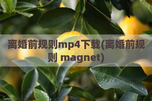 离婚前规则mp4下载(离婚前规则 magnet)