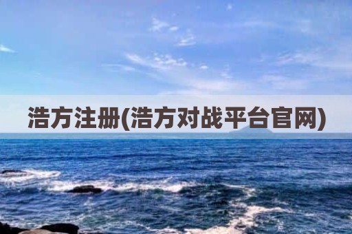 浩方注册(浩方对战平台官网)