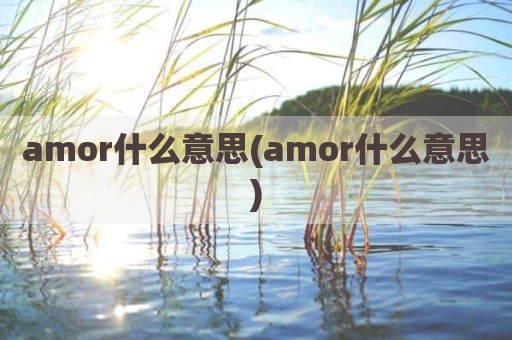 amor什么意思(amor什么意思)
