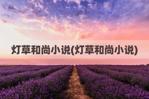 灯草和尚小说(灯草和尚小说)