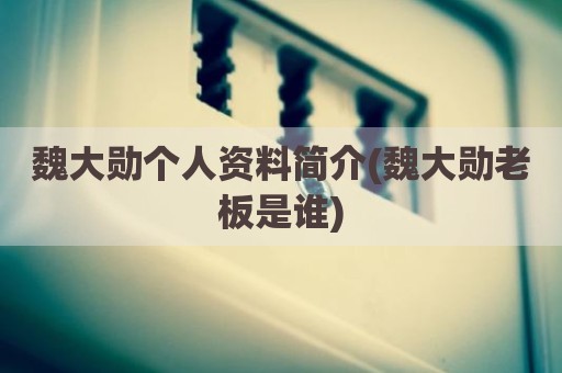 魏大勋个人资料简介(魏大勋老板是谁)