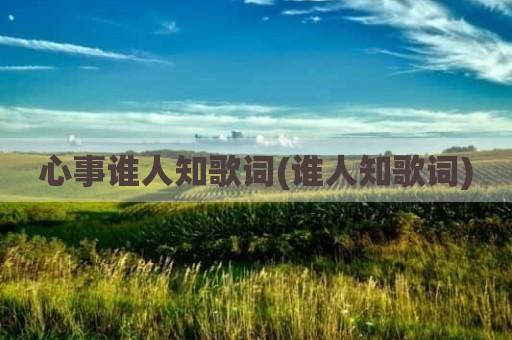 心事谁人知歌词(谁人知歌词)
