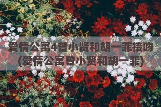 爱情公寓4曾小贤和胡一菲接吻(爱情公寓曾小贤和胡一菲)