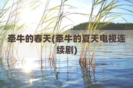 牵牛的春天(牵牛的夏天电视连续剧)