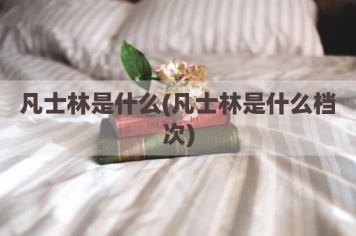凡士林是什么(凡士林是什么档次)