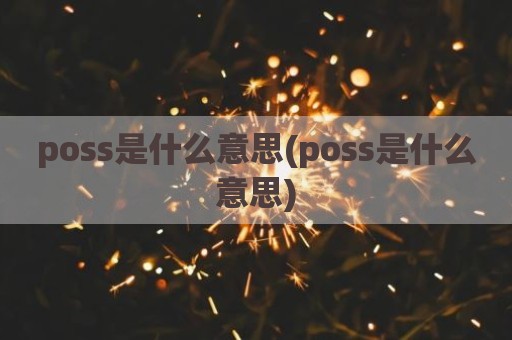 poss是什么意思(poss是什么意思)