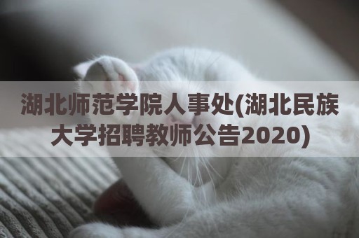 湖北师范学院人事处(湖北民族大学招聘教师公告2020)