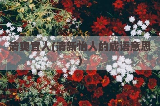 清爽宜人(清新怡人的成语意思)
