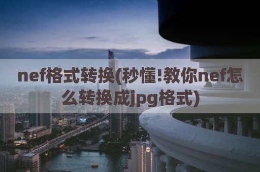 nef格式转换(秒懂!教你nef怎么转换成jpg格式)