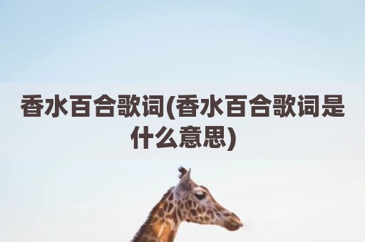 香水百合歌词(香水百合歌词是什么意思)