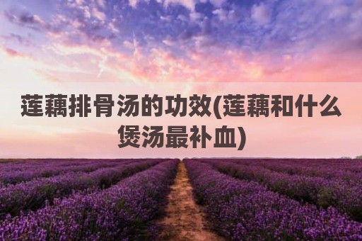 莲藕排骨汤的功效(莲藕和什么煲汤最补血)