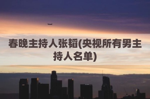 春晚主持人张韬(央视所有男主持人名单)