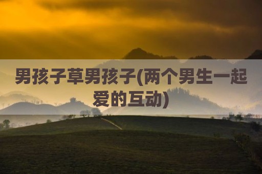 男孩子草男孩子(两个男生一起爱的互动)