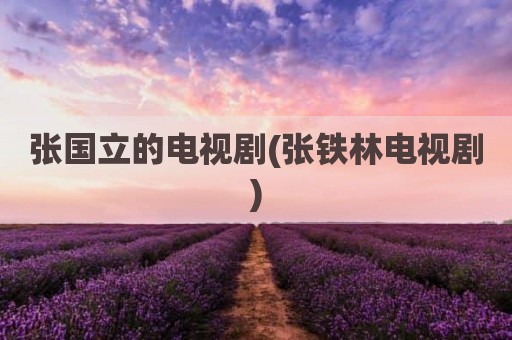 张国立的电视剧(张铁林电视剧)
