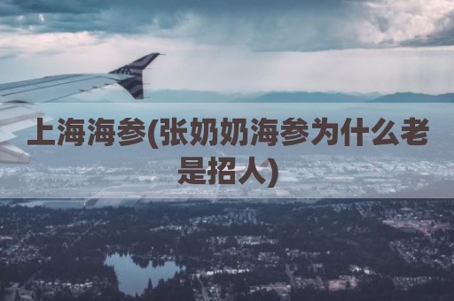 上海海参(张奶奶海参为什么老是招人)