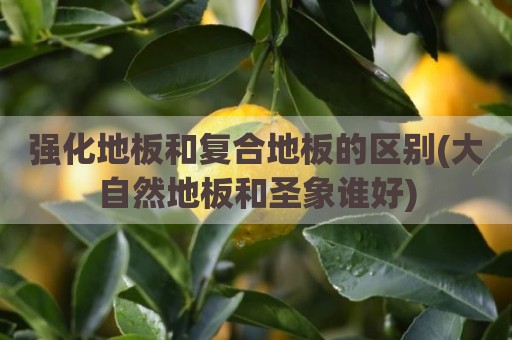 强化地板和复合地板的区别(大自然地板和圣象谁好)