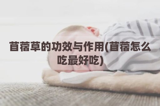 苜蓿草的功效与作用(苜蓿怎么吃最好吃)