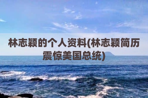 林志颖的个人资料(林志颖简历震惊美国总统)