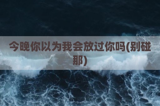 今晚你以为我会放过你吗(别碰那)