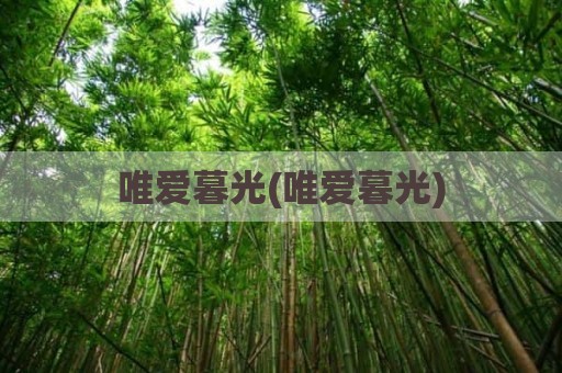 唯爱暮光(唯爱暮光)