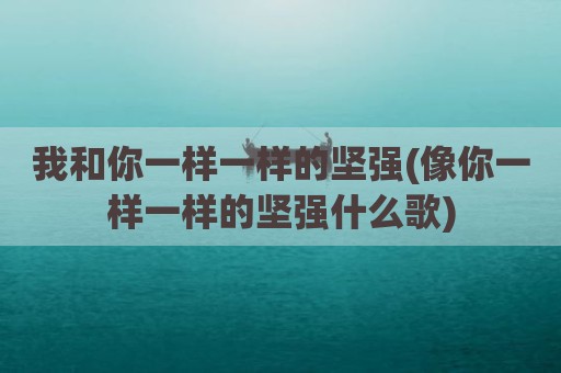 我和你一样一样的坚强(像你一样一样的坚强什么歌)