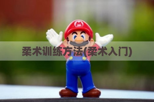 柔术训练方法(柔术入门)