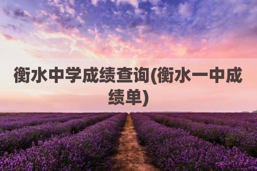 衡水中学成绩查询(衡水一中成绩单)