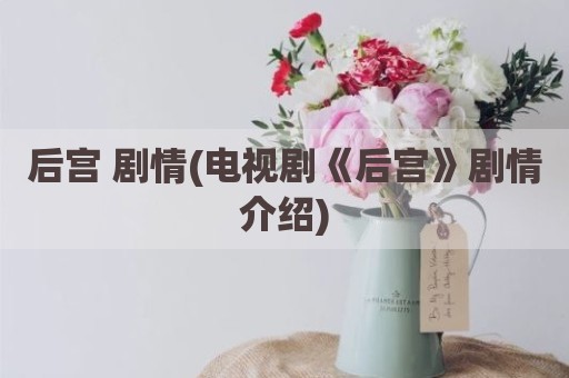 后宫 剧情(电视剧《后宫》剧情介绍)