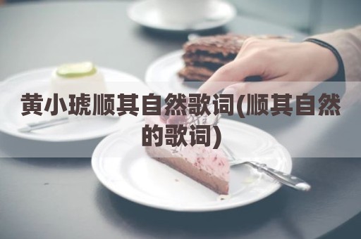 黄小琥顺其自然歌词(顺其自然的歌词)