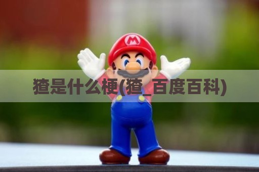 猹是什么梗(猹_百度百科)
