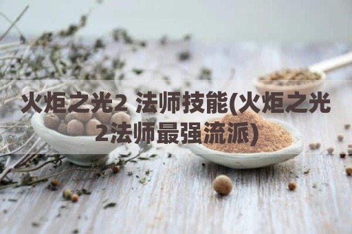 火炬之光2 法师技能(火炬之光2法师最强流派)