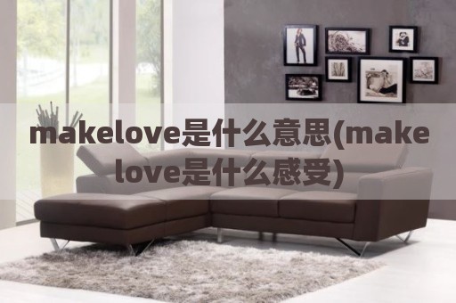 makelove是什么意思(makelove是什么感受)