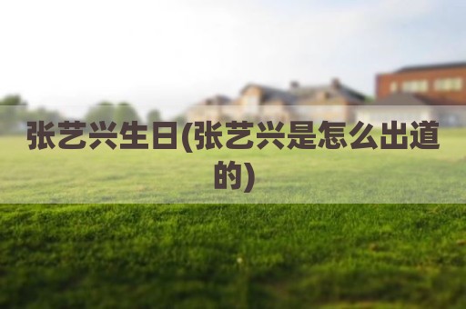 张艺兴生日(张艺兴是怎么出道的)