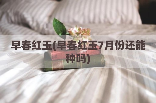 早春红玉(早春红玉7月份还能种吗)