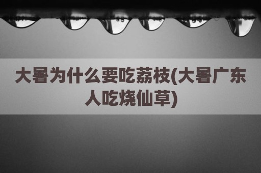 大暑为什么要吃荔枝(大暑广东人吃烧仙草)