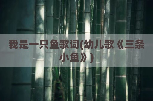 我是一只鱼歌词(幼儿歌《三条小鱼》)